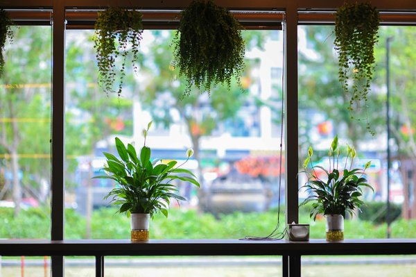 Des followers, likes et vues : l'astuce pour briller sur TikTok