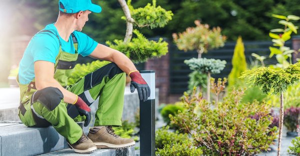 Comment choisir le bon paysagiste?