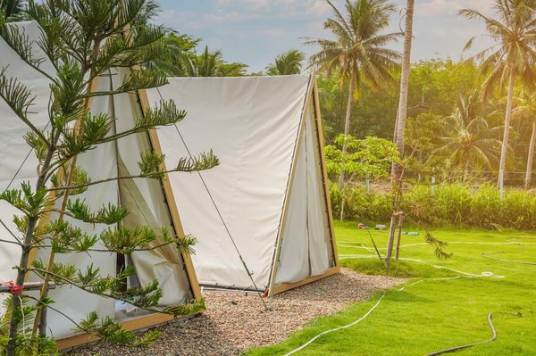 Comment les campings du Groupe Tikayan contribuent-ils à l'écotourisme en Méditerranée ?