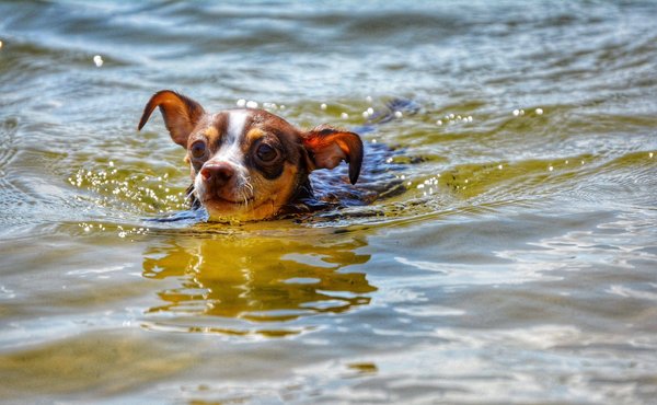 Quels sont les premiers pas pour devenir jardinier urbain ?