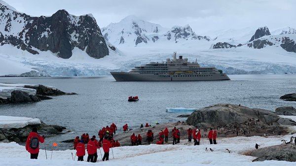 Croisière en Arctique : à la découverte des merveilles du grand nord
